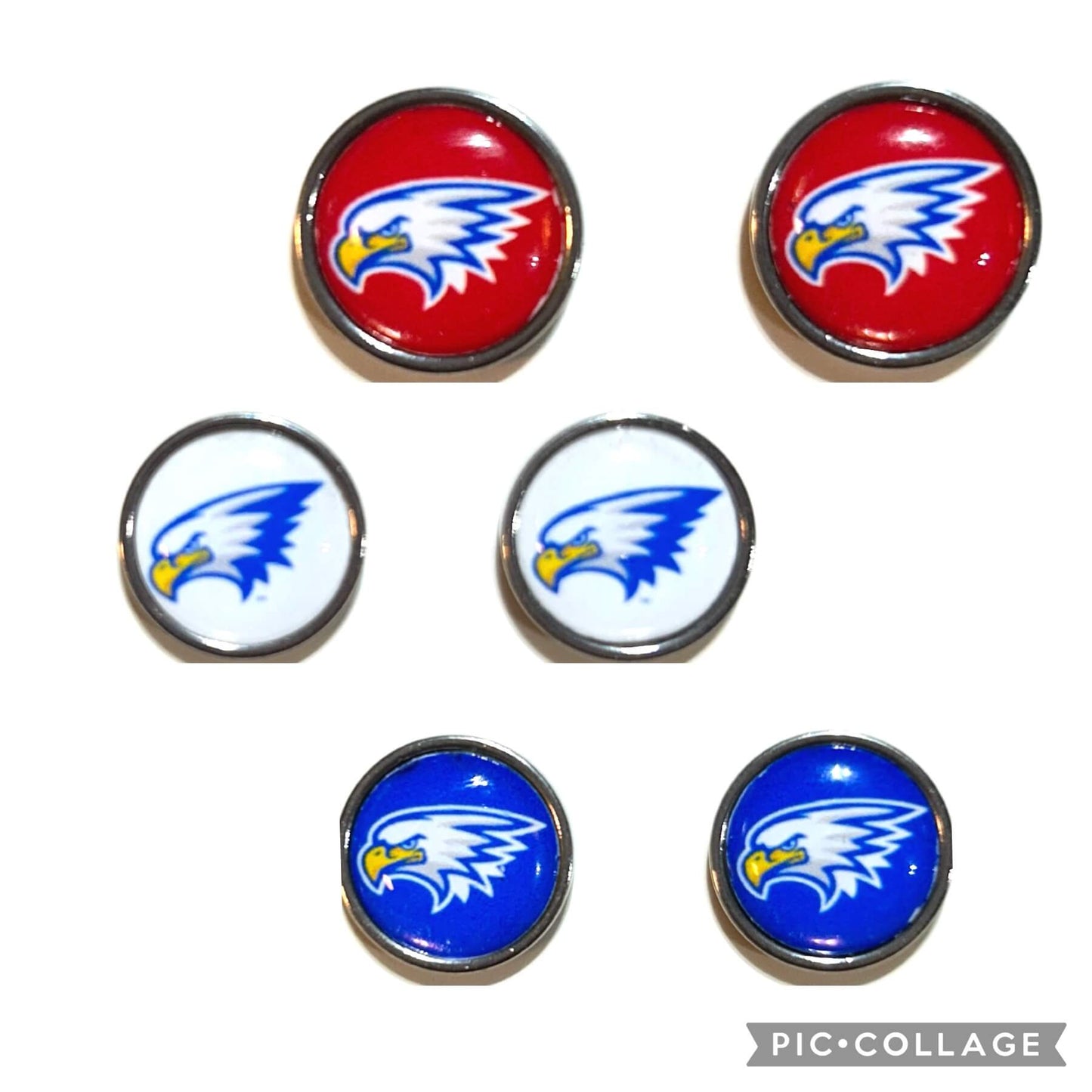 Olentangy MIDDLE SCHOOL stud earrings