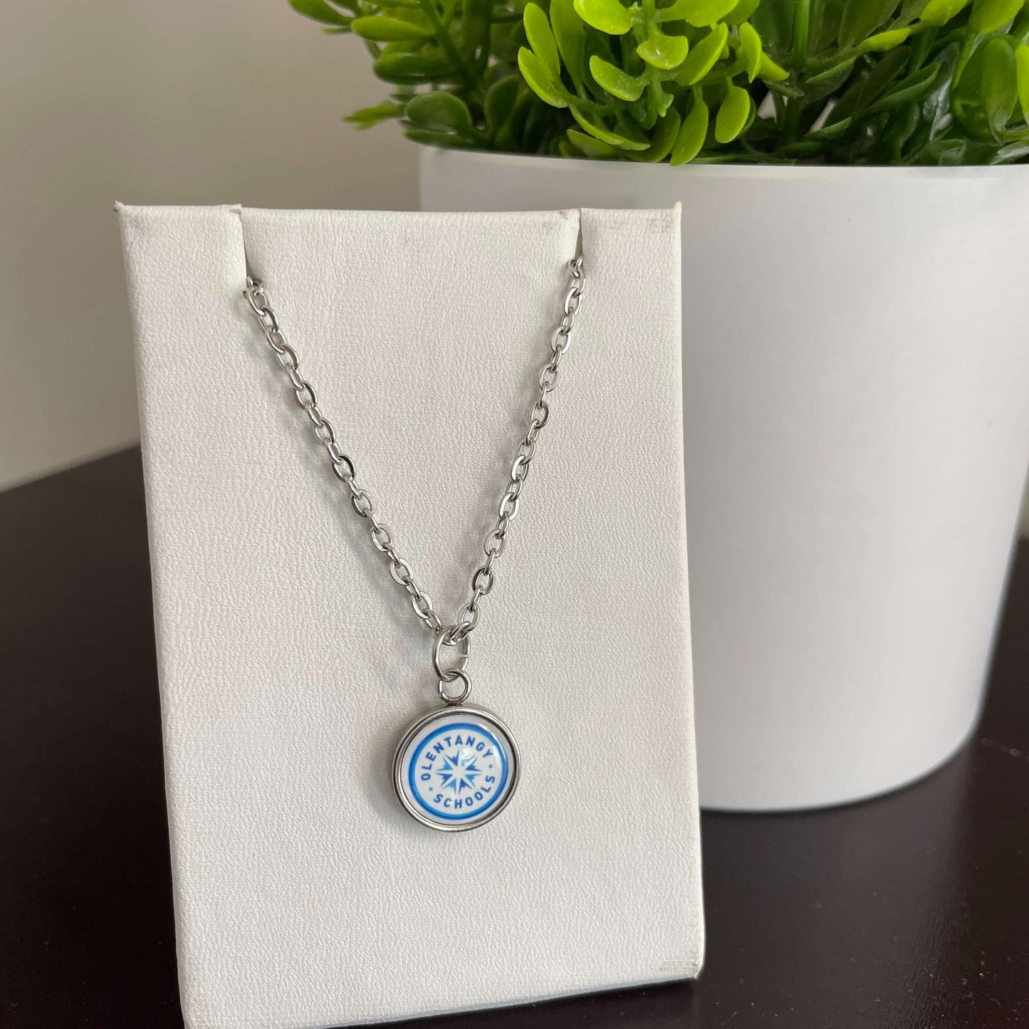 Olentangy Local School District earrings and pendant necklace