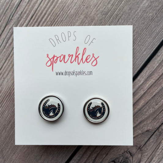 Delaware City Schools