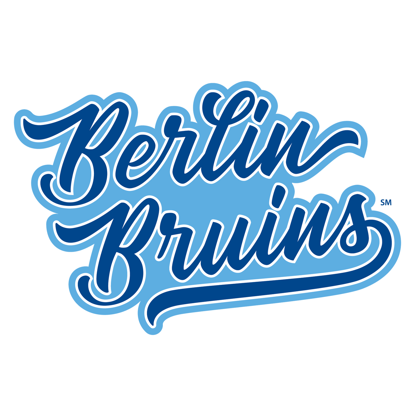 Berlin Middle School stud earrings *BMS Fundraiser*
