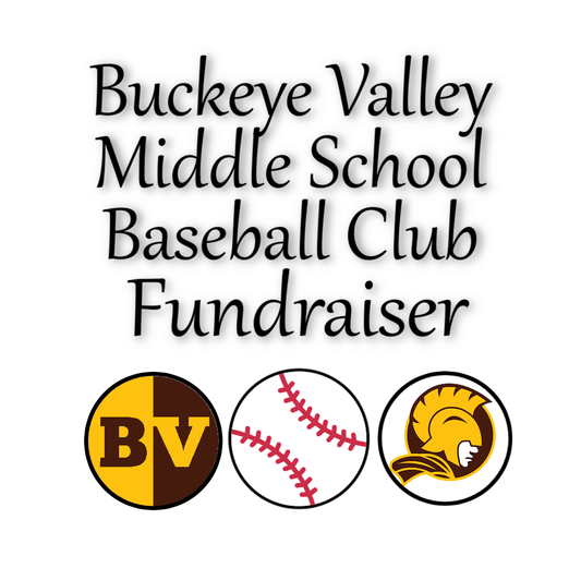 Buckeye Valley Middle School Baseball Club earrings & necklace *BVMS Baseball Fundraiser*