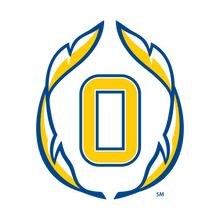 Load image into Gallery viewer, Olentangy HIGH SCHOOL logo pendant silver necklace
