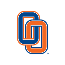 Load image into Gallery viewer, Olentangy HIGH SCHOOL logo pendant silver necklace
